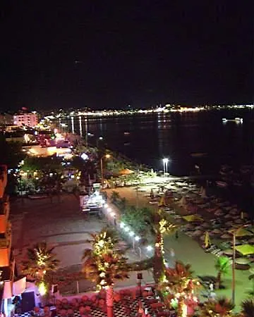 Palm 2*