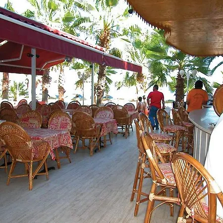 Отель Palm 2*