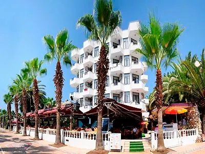 Palm